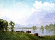Albert Bierstadt, Buffalo Country